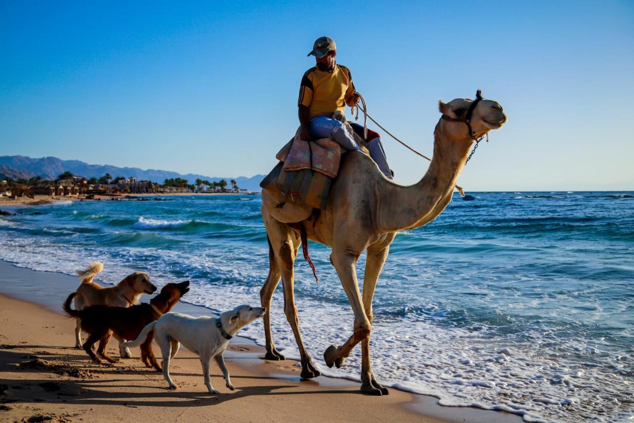 Habiba Beach Lodge Nuweiba` Kültér fotó